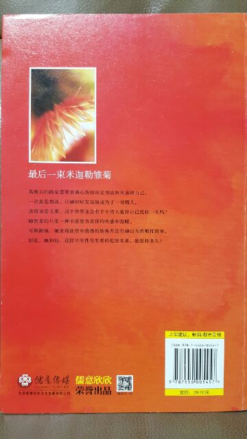最後一束米迦勒雛菊小說 蝦皮購物
