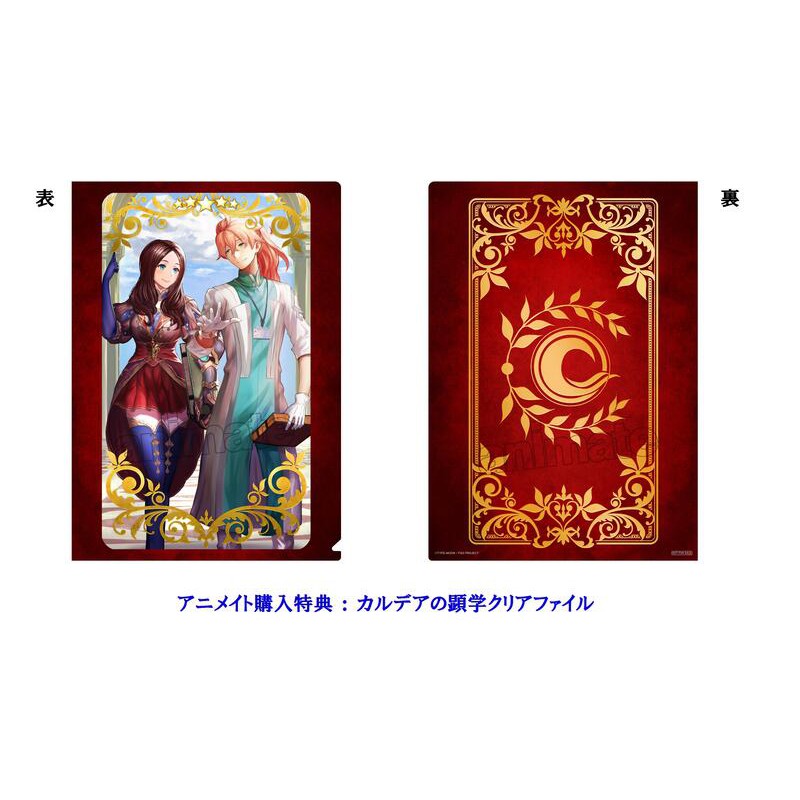 Fate Grand Order Memories 概念禮裝畫冊 安利美特購入特典 A4資料夾 達文西/羅曼醫生/FGO