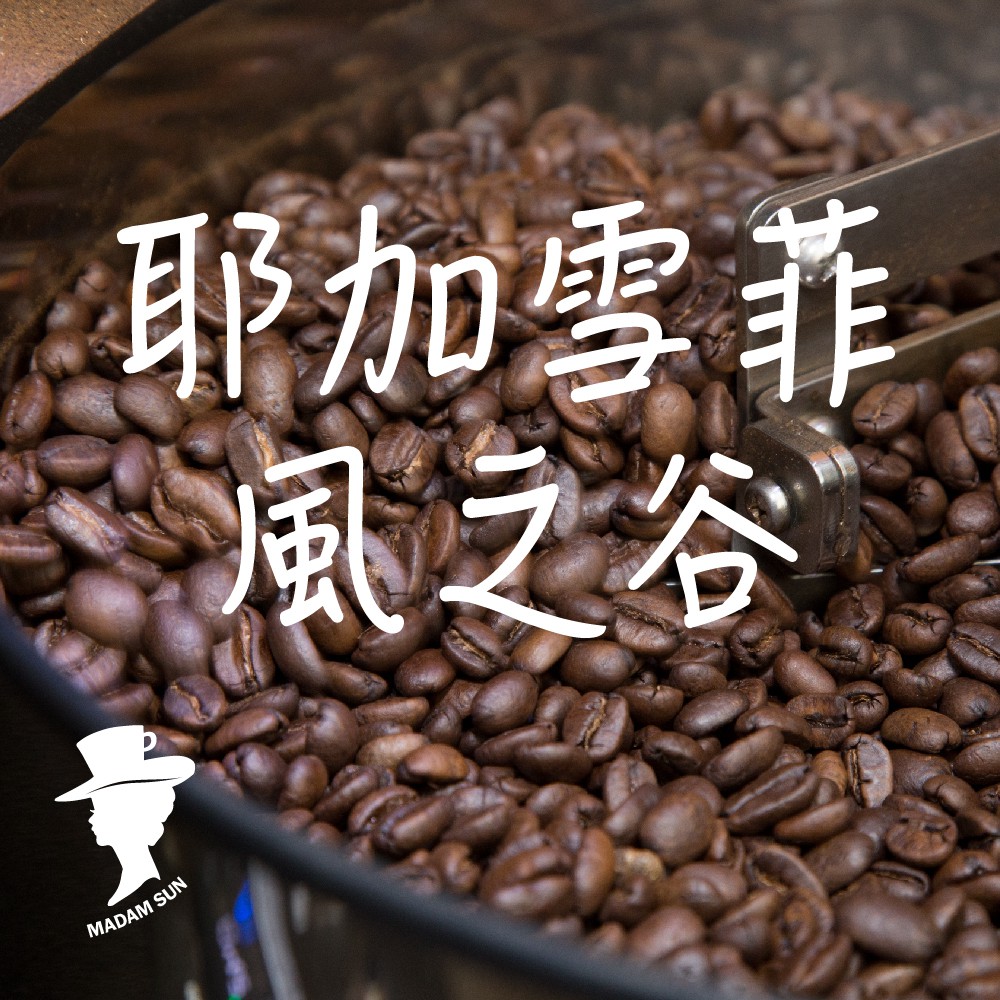 【咖啡夫人】耶加雪菲 風之谷 水洗 半磅 咖啡豆/咖啡粉