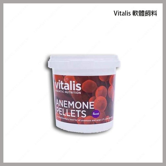 多彩雲水族⛅Vitalis《軟體飼料》60g，適合海葵 LPS 珊瑚 奶嘴、地毯、公主、珠狀海葵