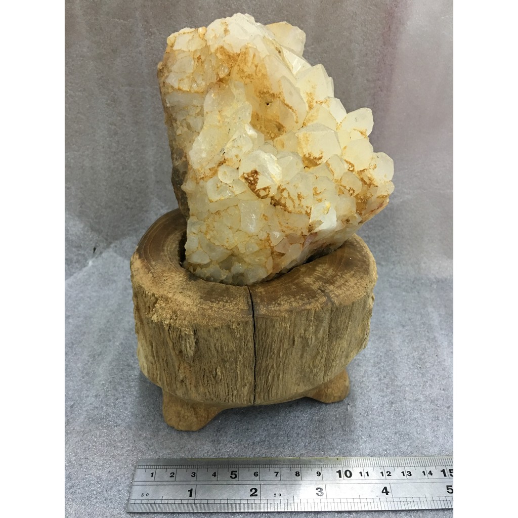 訂製底座 優惠推薦 2021年12月 蝦皮購物台灣