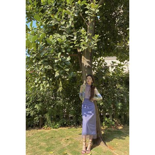 Iris 裙子 裙子優惠推薦 女生衣著21年6月 蝦皮購物台灣