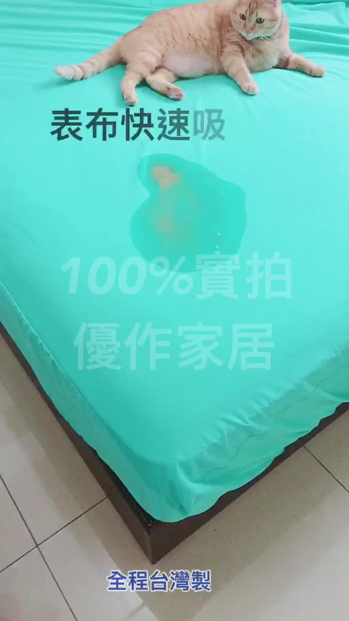 【優作居家】台灣製造工廠破盤價 3M吸排專利 100%防水透氣防螨保潔墊 防水床包 吸濕排汗 網眼 保潔墊