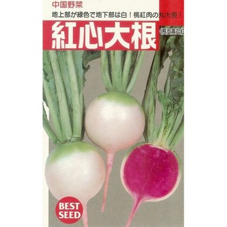 大根蘿蔔 優惠推薦 年10月 蝦皮購物台灣