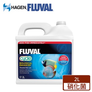 領卷再折【HAGEN富濾霸】高濃縮全方位硝化菌 2L 快速分解氨 亞硝酸 免運費 毛貓寵