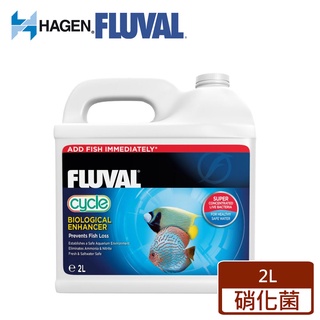 【HAGEN富濾霸】高濃縮全方位硝化菌 2L 快速分解氨 亞硝酸 免運費 毛貓寵