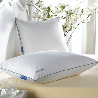 【普羅恩歐美枕頭館】美國Isotonic Iso-Cool Therapure Bed Pillow冰涼枕
