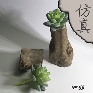 多肉 模擬多肉 微景觀 P35 假多肉植物 辦公室小物 生日禮物拍照道具居家裝飾咖啡屋商店擺飾木頭底座盆栽