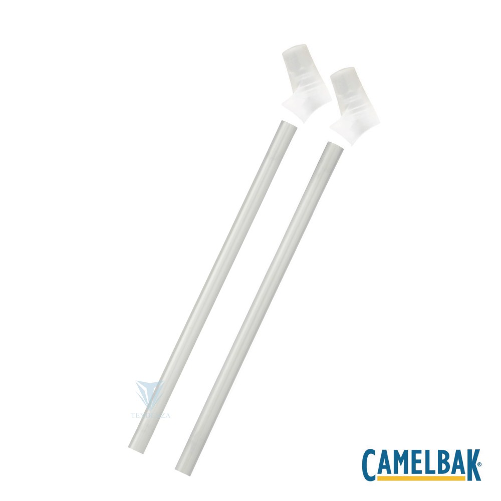 CamelBak CB1766101000 - eddy+ 咬嘴吸管組(含2咬嘴及2吸管)