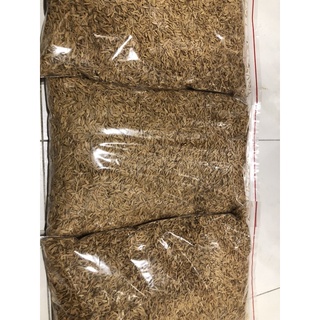 粗 糠（ 稻 殼 ）
