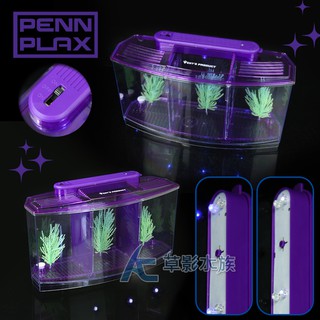 【AC草影】PENN-PLAX 龐貝 LED鬥魚缸/隔離盒（三格）【一個】魚蝦繁殖 孔雀魚隔離 養鬥魚 養孔雀 小魚缸