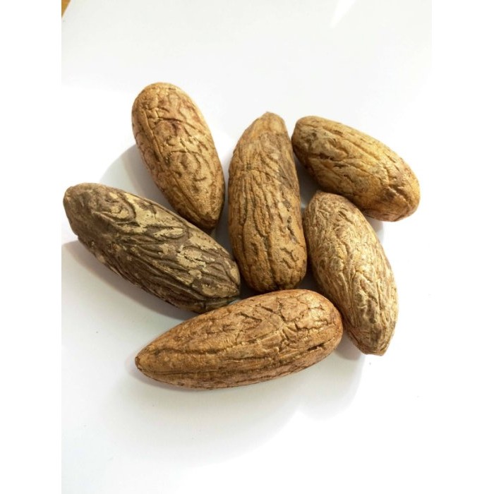 Q比小店 千眼菩提子原籽 大8cm以上 菩提樹果實觀音眼千手觀音菩提子樹菩提吊飾鱷魚果同心果佛眼吊飾禮贈品an 4 蝦皮購物