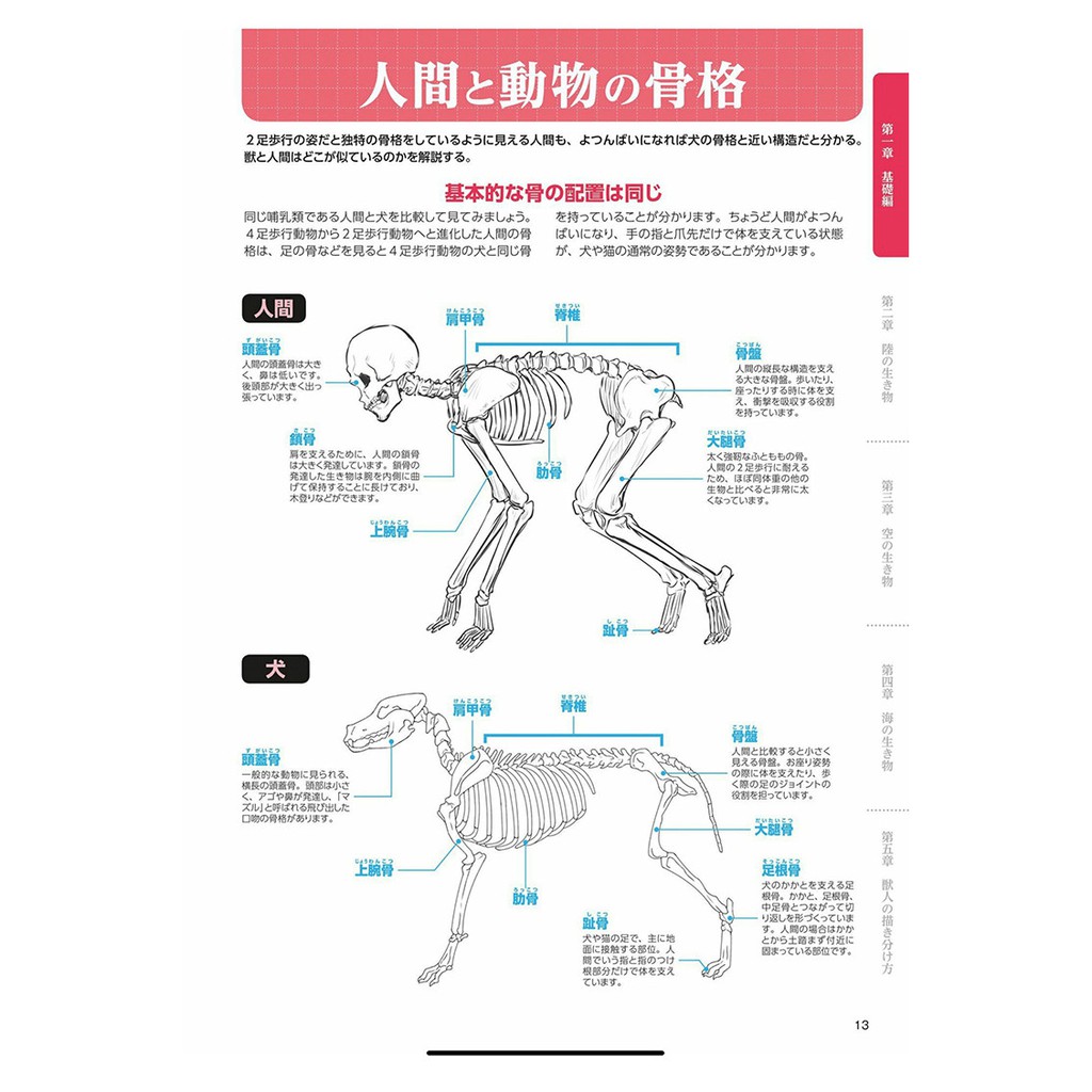 獣人の描き方獸人的畫法教程繪畫技法資料魔物臨摹參考cg素材圖 蝦皮購物