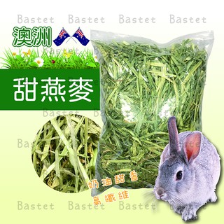 紫花苜蓿草兔子牧草新鮮天然兔子主食兔飼料寵物天竺鼠龍貓小動物無過篩 蝦皮購物