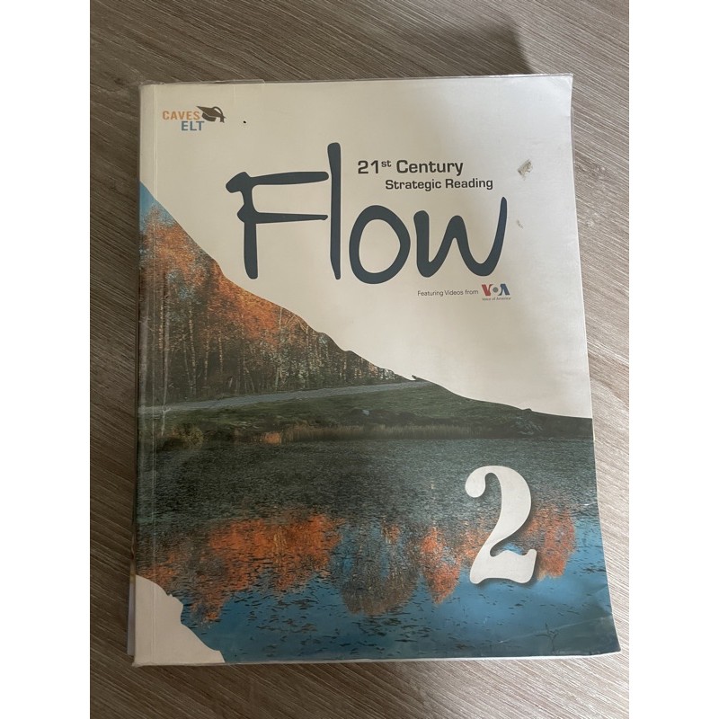 Flow-21st Century Strategic Reading 2