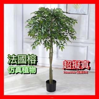 ❤️宅配免運費❤️仿真植物 法國榕 盆景裝飾 北歐大型綠植造景 辦公室場景落地 擺件盆栽 假樹 假植物 綠色植物