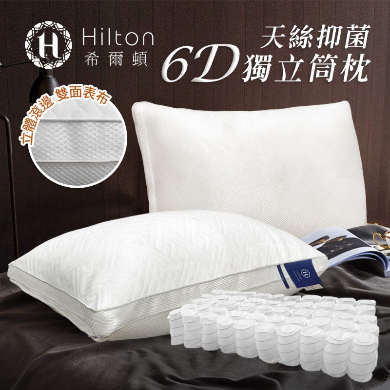 Hilton 希爾頓6d透氣蜂巢孔天絲獨立筒枕 附無仿布手提袋 蝦皮購物