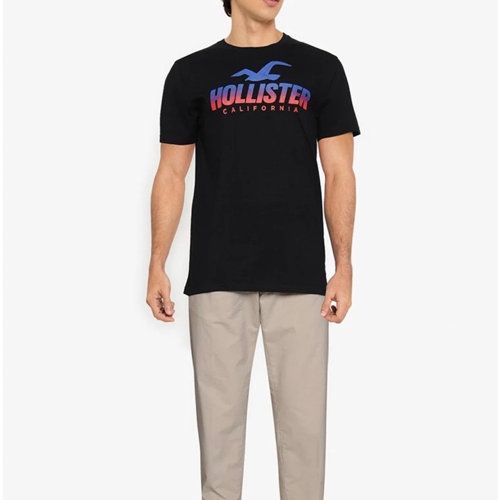 ［Hollister］現貨 短T T恤 經典大海鷗LOGO 一件免運 保證正品 中和內壢可面交 需提前約時間