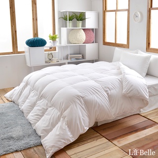 La Belle 德國 水鳥羽毛絨 防蹣抗菌 冬被 雙人 暖冬被 格蕾寢飾
