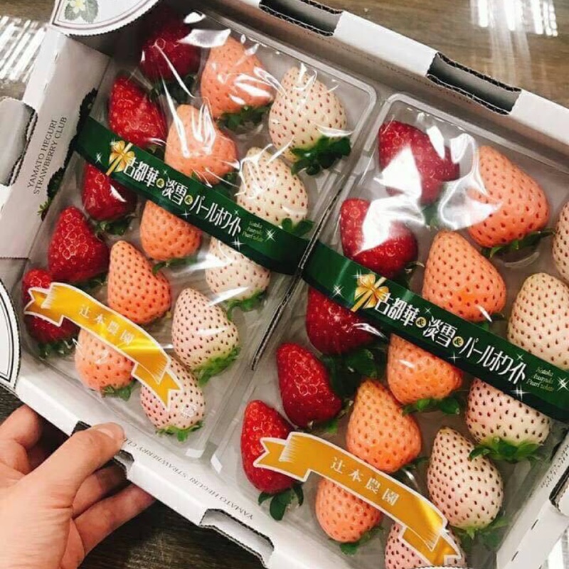 🇯🇵 日本奈良 三色草莓 🍓
