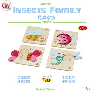 GOGO Toys 高得玩具 20919 Insects Family 昆蟲家族