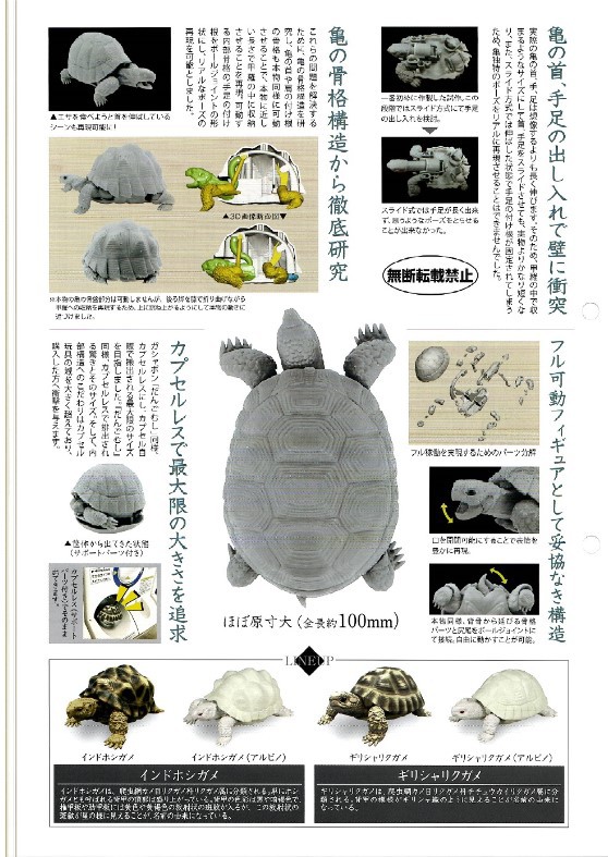現貨bandai 萬代正版關節可動烏龜模型陸龜擺件扭蛋 蝦皮購物