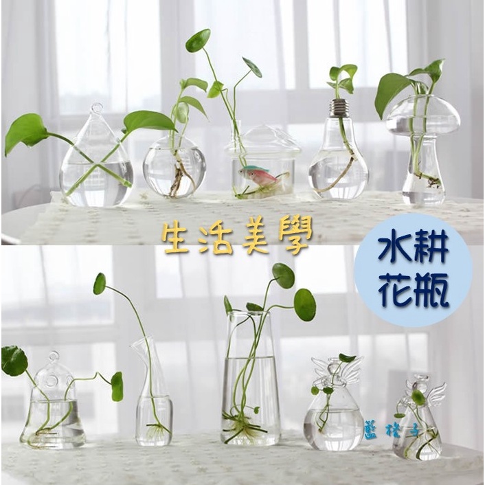 臺灣現貨 B143 水耕瓶 水耕玻璃瓶 水耕容器水耕花器玻璃瓶花瓶花器魚菜共生水耕植物盆栽水耕空瓶水