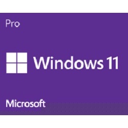 【全新含稅】微軟 Microsoft C-Win Pro 11 繁中專業64位元隨機版 Windows Win