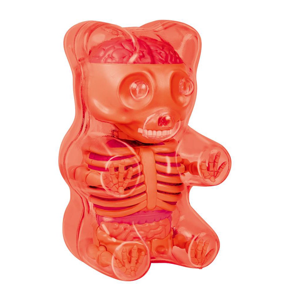 4D MASTER Gummi Bear Anatomy/ Red 紅/ Small  誠品eslite