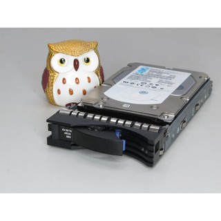 IBM 44W2245 44W2244 44W2248 ST3600057SS 600GB 15K 6G SAS