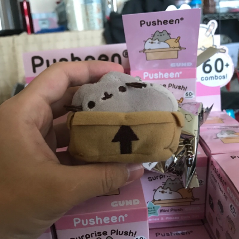 [現貨！] 胖吉驚喜包 第三彈 2號 紙箱貓 Pusheen Surprise Plush Blind Box 3