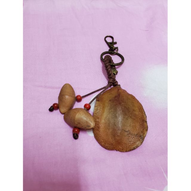 巴格浪 種子手作 藍花楹 莢竹桃種子吊飾 蝦皮購物