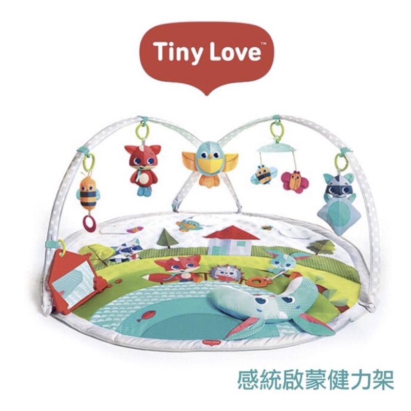 (二手)【Tiny Love】感統啟蒙 健力架-快樂草原 ∣ 嬰兒玩具 遊戲地墊