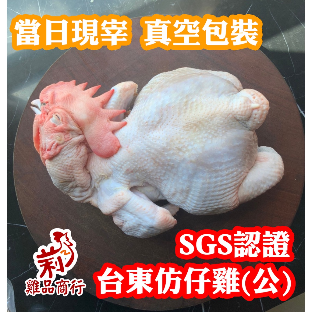 【台東放山土雞】土雞 雞肉 雞3000g ±10% 全雞 生鮮 雞肉  滷味 炒菜 煮湯 健身 台東 蛋白 蛋白質 營