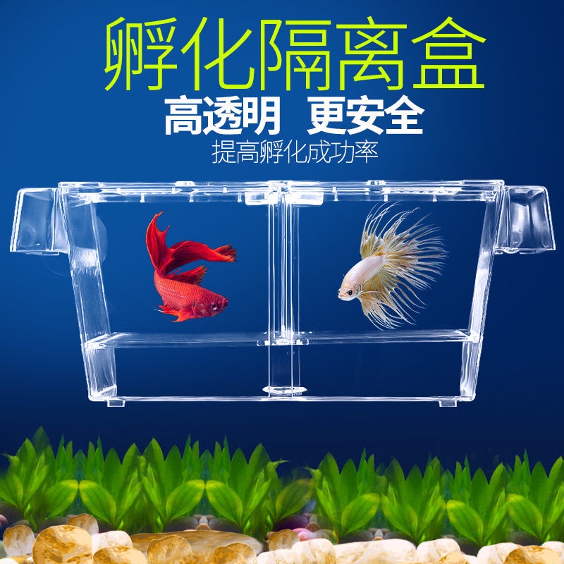 水族用品 孔雀魚繁殖盒魚缸魚苗孵化器隔離盒小魚孵化盒大號亞克力魚卵產房 蝦皮購物