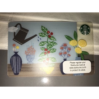 泰國 星巴克 隨行卡 Starbucks gift Card 淡藍色底栽種咖啡豆