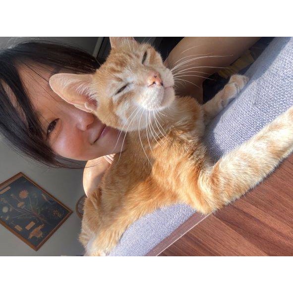 子犬 優惠推薦 22年7月 蝦皮購物台灣