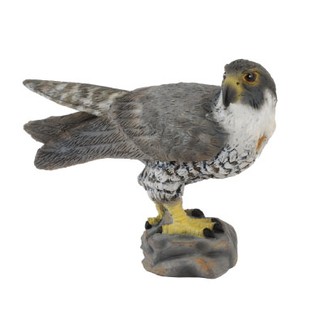 「芃芃玩具」COLLECTA 動物模型 恐龍模型 R88399 遊隼 模擬 教材 教學 貨號88399