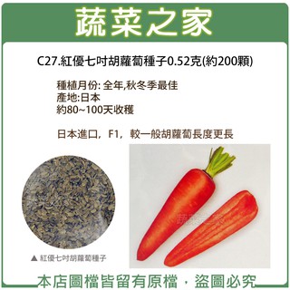 【蔬菜之家滿額免運】 C27.紅優七吋胡蘿蔔種子0.52克(約200顆)紅蘿蔔種子.蔬菜種子.日本進口.F1