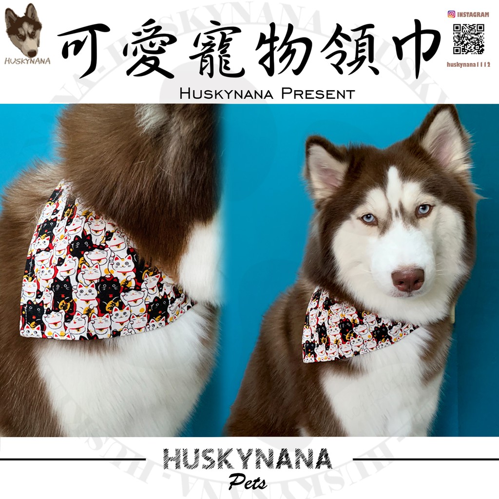 狗子娜 超可愛寵物領巾口水巾 幼犬幼貓兔子龍貓小型犬中型犬大型犬圍兜配件圖案多樣哈士奇黃金柴犬鬥牛貓咪米克斯