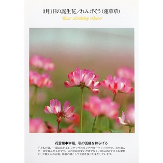 33明信片本舖 線上商店 蝦皮購物