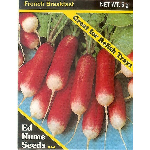 【蔬菜種子S352】法國早餐迷你蘿蔔，好漂亮的白蘿蔔品種，特別推薦！