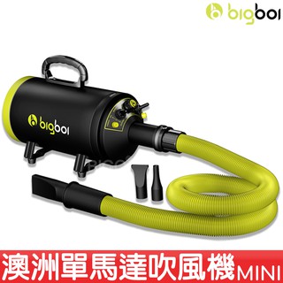 bigboi MINI 寵物單馬達吹風機 吹水機 汽機車用 汽車美容 寵物美容 寵物美容吹風機 寵物吹毛 吹乾