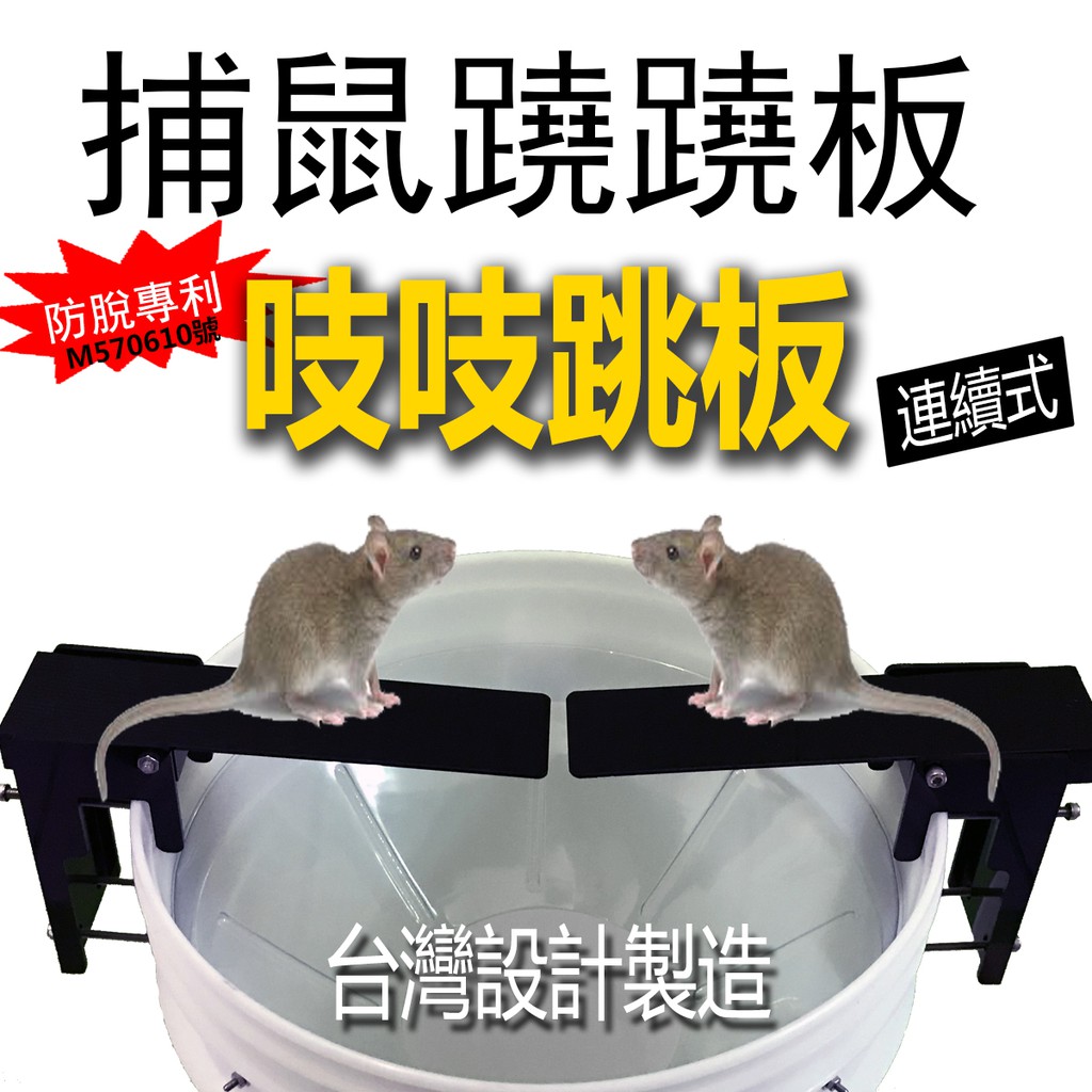 MIT《吱吱跳板》專利防脫罩含水桶套裝組 (超取下單) 老鼠蹺蹺板 連續式捕鼠器
