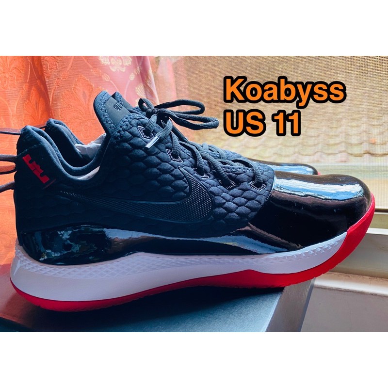 lebron witness iii prm