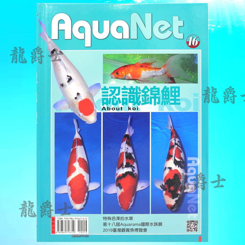 現貨 龍爵士水族 認識錦鯉 錦鯉基本知識 Q3 蝦皮購物