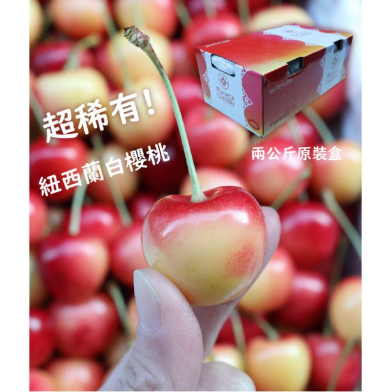 頂級紐西蘭空運白櫻桃28mm/超大紅櫻桃34mm