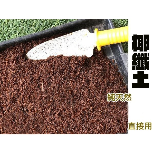 椰纖土🔥園藝天然介質/ 花草植物/綠生活土壤改良使用🔥🔥/爬蟲類底材墊土/生活配料