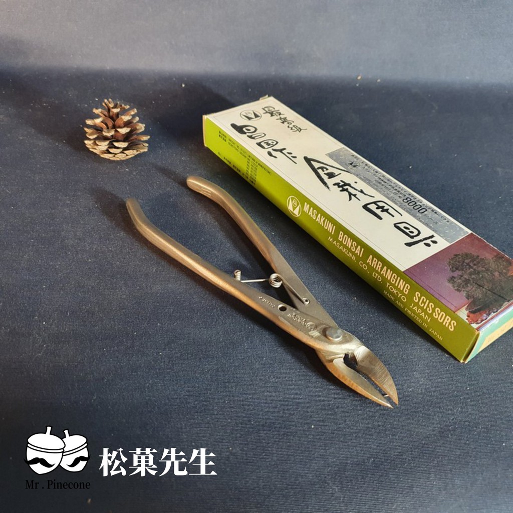 昌國白染的價格推薦- 2026年9月| 比價比個夠BigGo