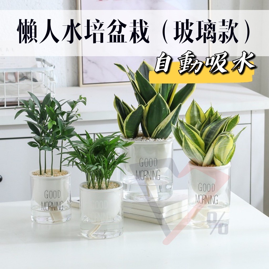 台灣現貨77 玻璃陶瓷吸水盆栽花盆盆栽水培玻璃盆自動吸水吸水花盆透明花盆水培花盆水培植物水培盆栽 蝦皮購物